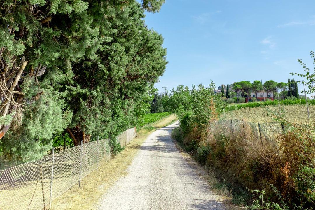Photo of Others in Bertinoro