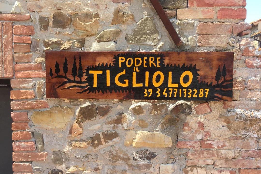 Photo of Others in Castiglione d'Orcia