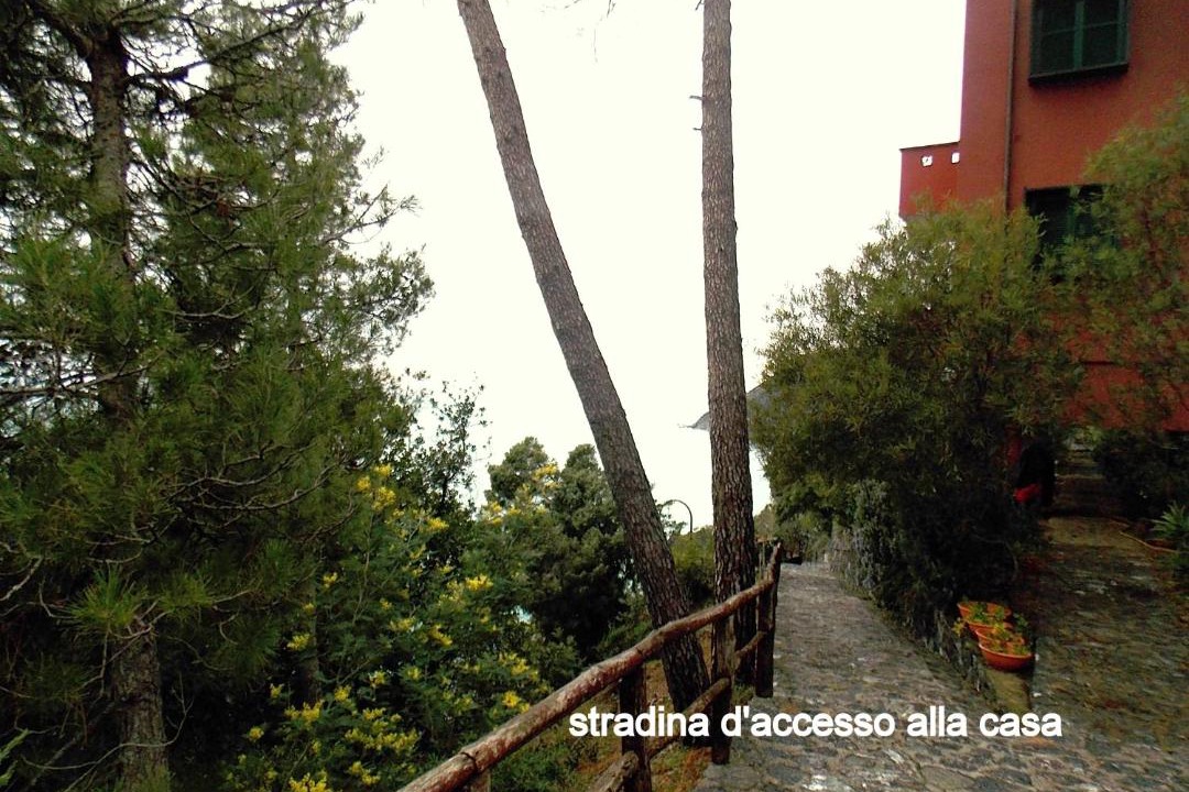 Photo of Others in Framura
