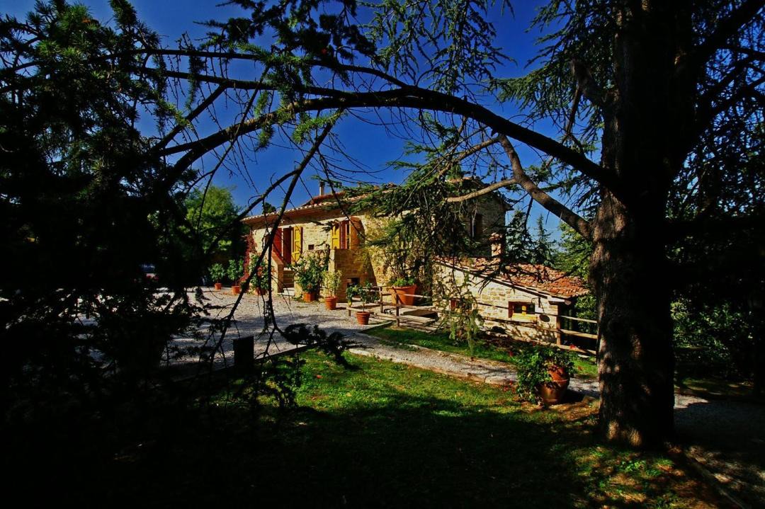 Photo of Others in Monte San Savino