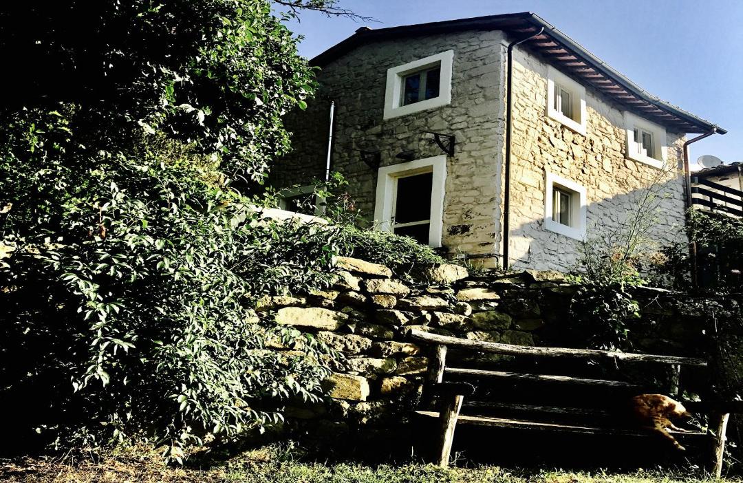 Photo of Others in Starda