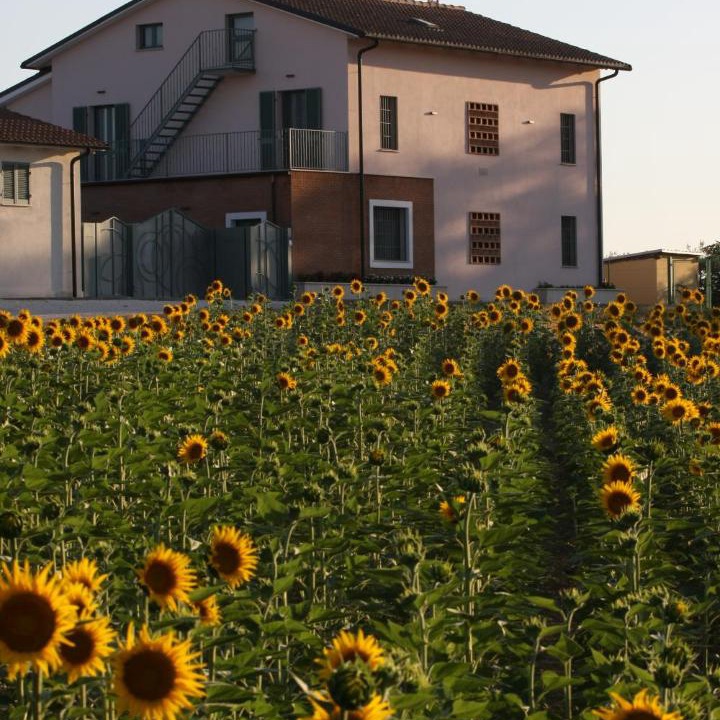 Photo of Others in Montecastrilli