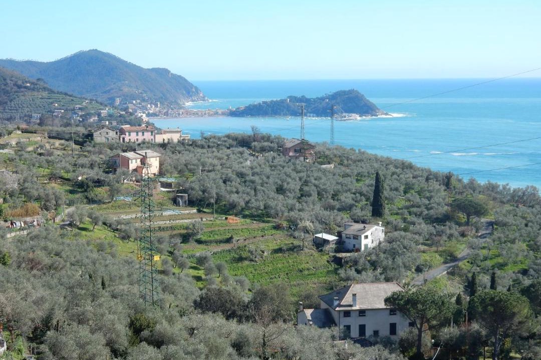 Photo of Others in Santa Giulia