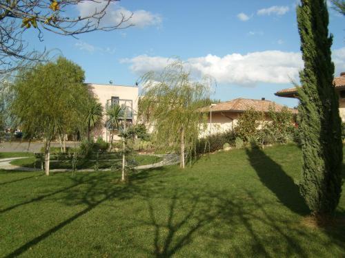 Photo of Others in Forlimpopoli