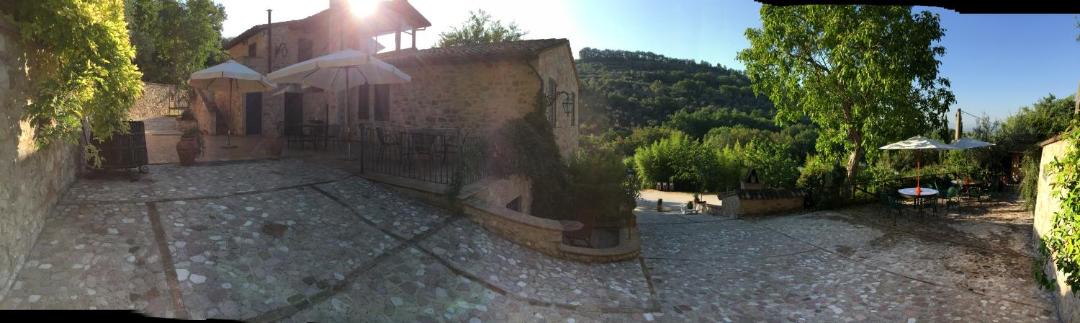 Photo of Others in Spello
