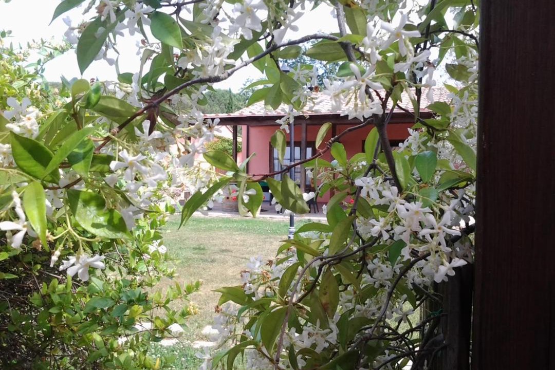 Photo of Others in Riotorto