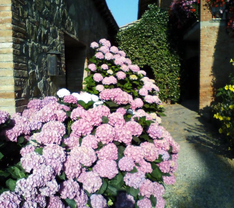 Photo of Others in Castiglione d'Orcia