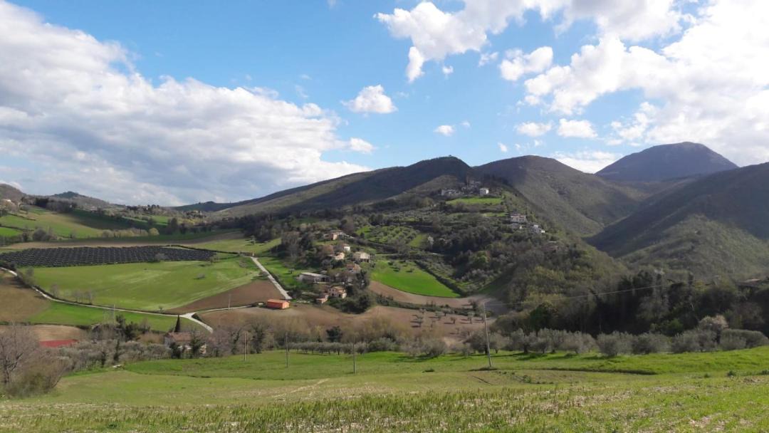 Photo of Others in Poggio San Vicino