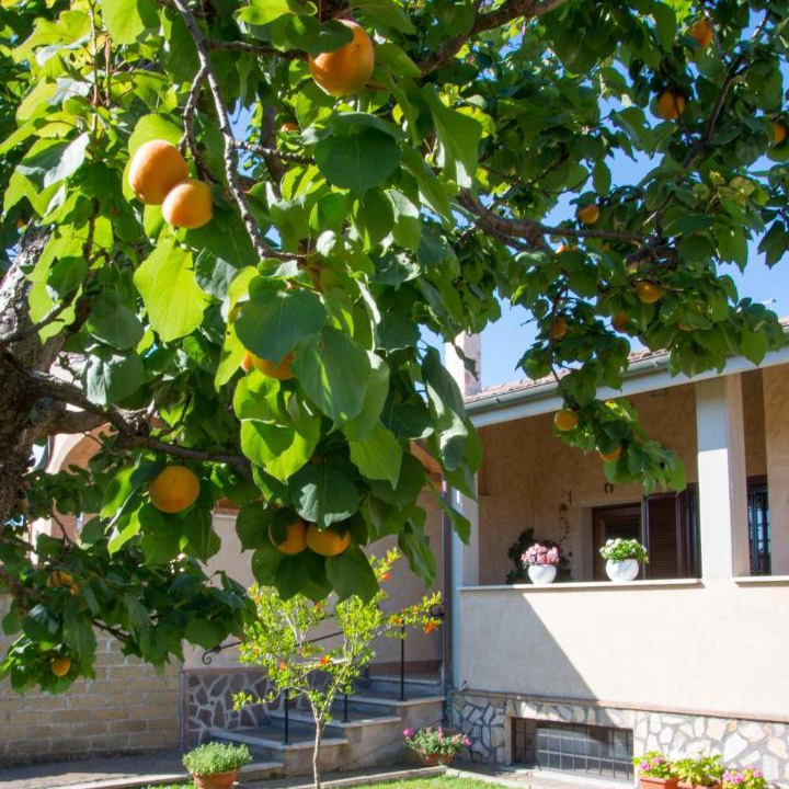 Photo of Buildings in Cerreto