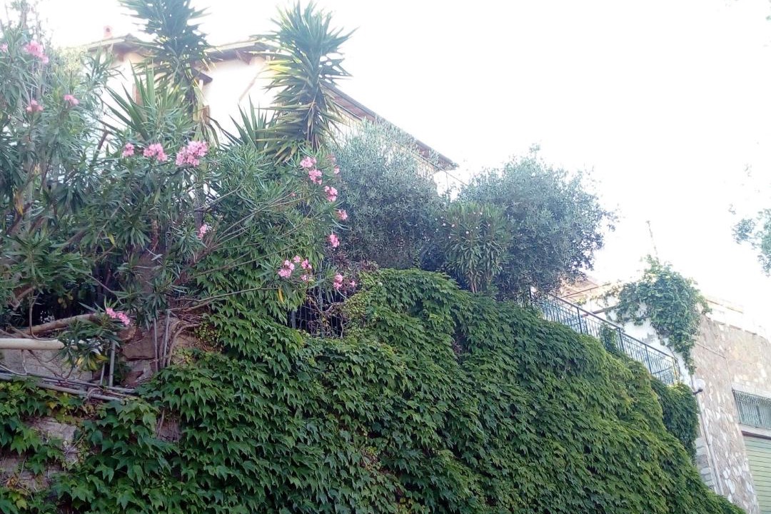 Photo of Others in San Lorenzo al Mare