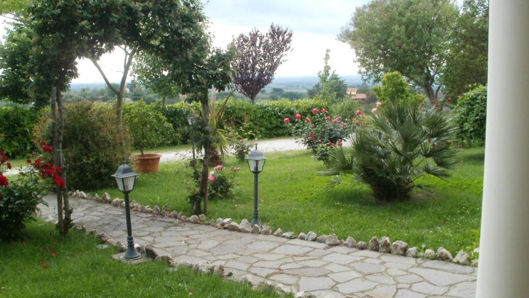 Photo of Others in Viterbo