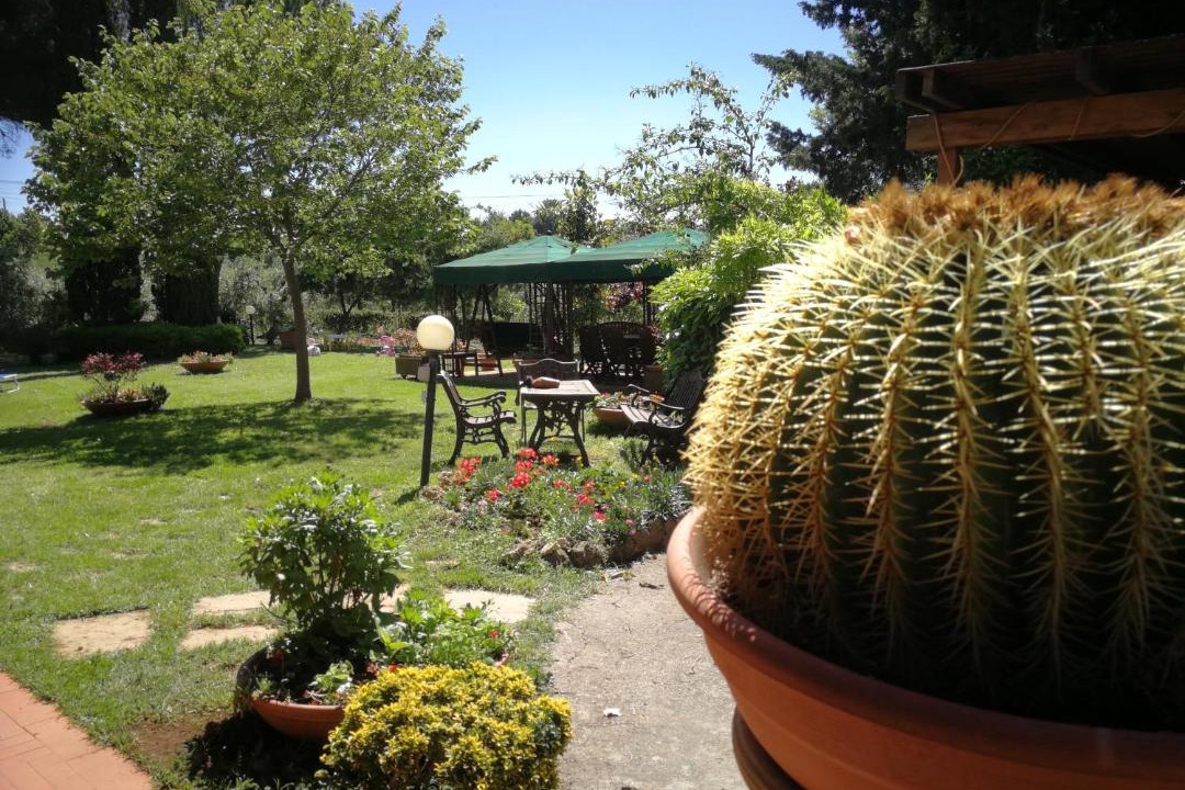 Photo of Others in Casale Marittimo
