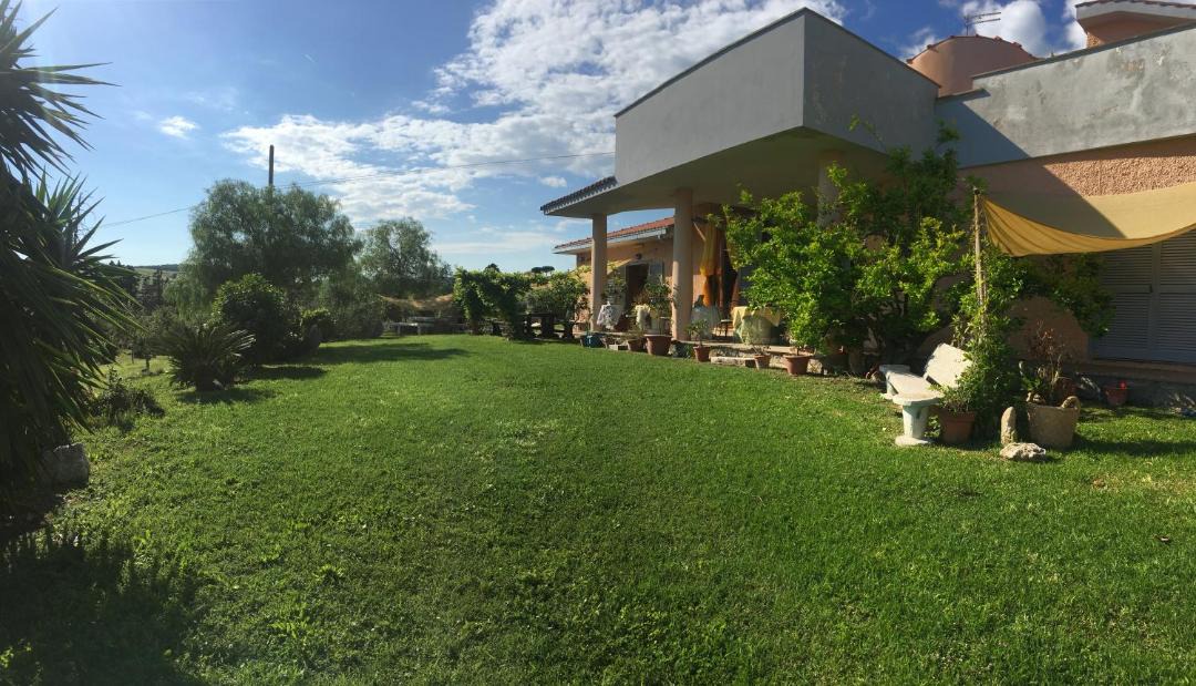 Photo of Others in Cerveteri