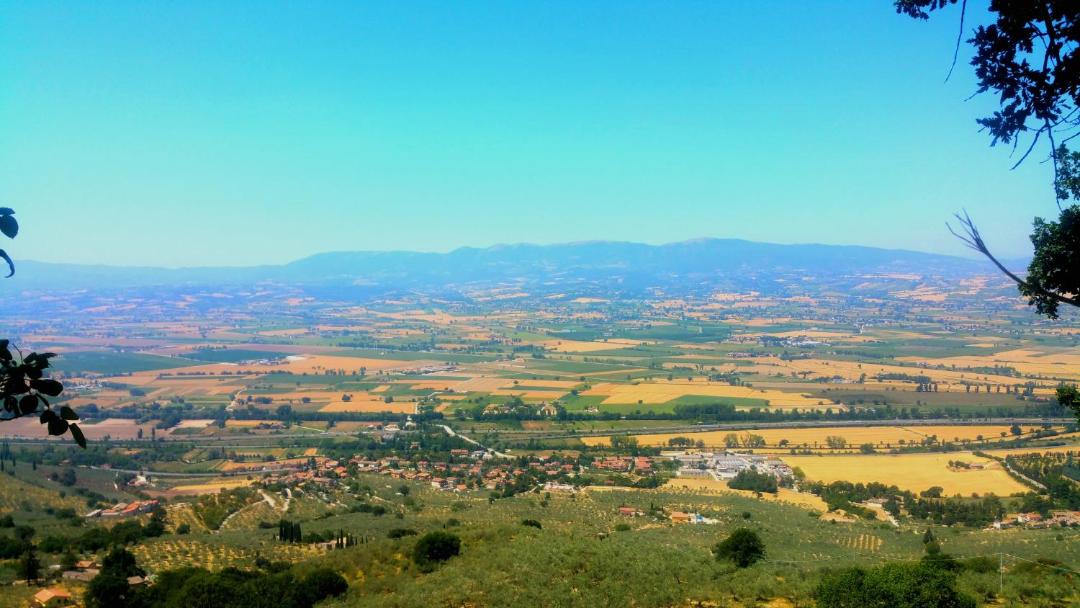 Photo of Others in Bovara