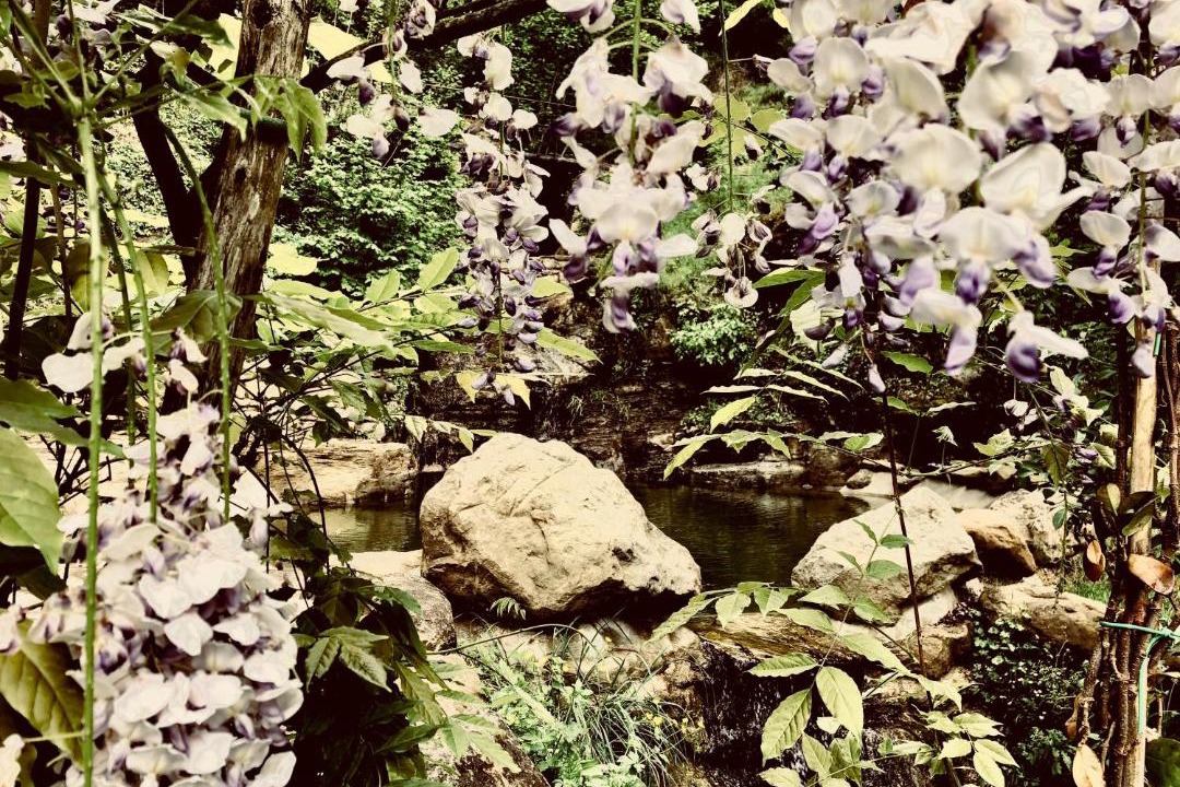 Photo of Outdoor in Starda