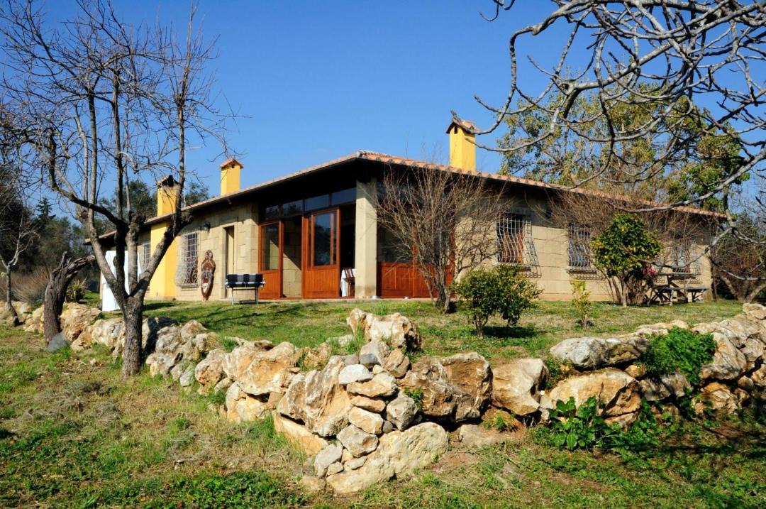 Photo of Others in Cerveteri