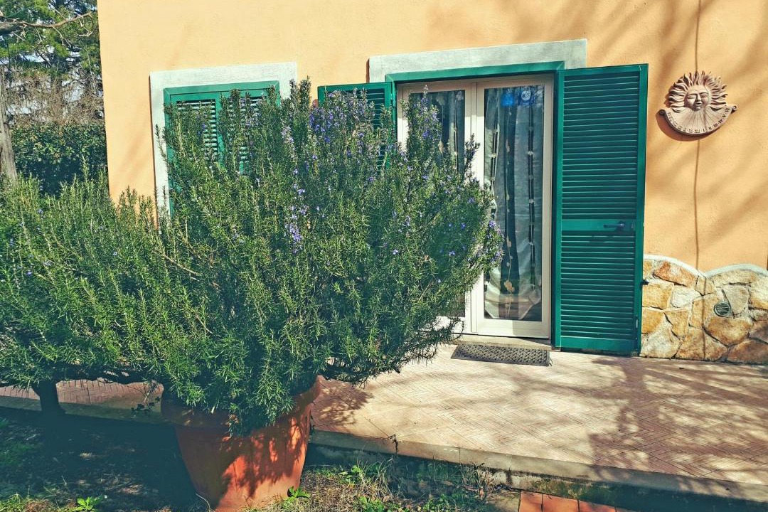 Photo of Others in Capranica