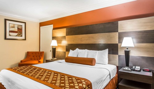 Room, 1 King Bed, Accessible, Non Smoking