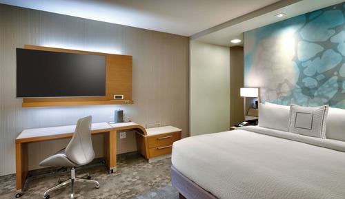 Room, 1 King Bed with Sofa bed (Accessible Shower/Tub Combination)