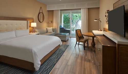 Room, 1 King Bed (Hearing Accessible)