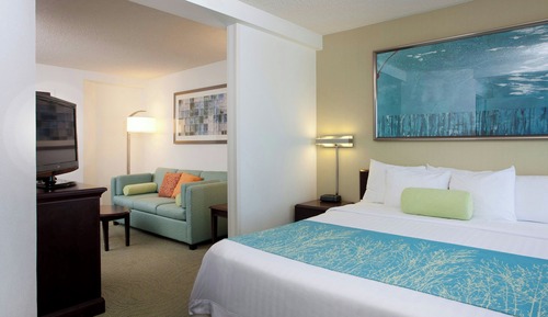 Suite, 1 King Bed with Sofa bed
