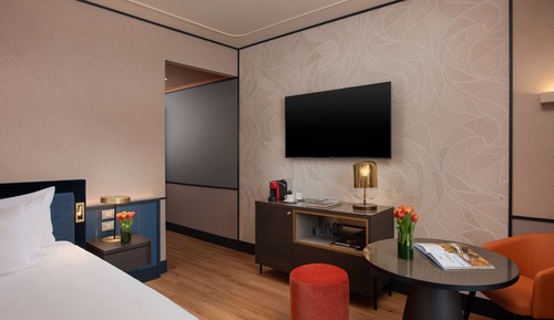 Superior Single Room (View)