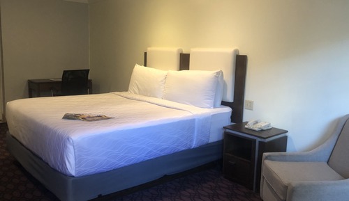 Single Guest Room