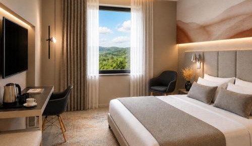 Deluxe Double or Twin Room with Mountain View