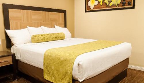 King Room with Shower Only - Non-Smoking