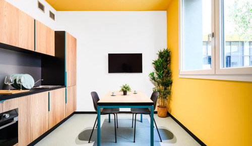 Standard One-Bedroom Apartment