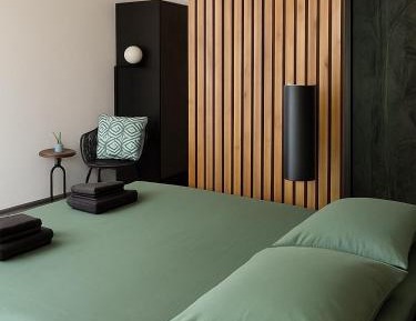 Deluxe One-Bedroom Apartment with City View
