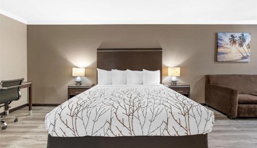 King Room with Whirlpool - Non-Smoking