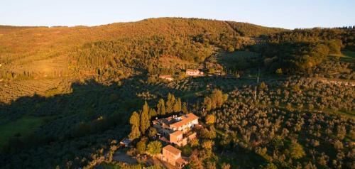 Two-Bedroom Apartment with View