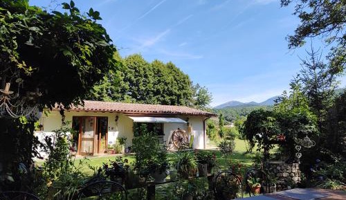 King Room with Garden View