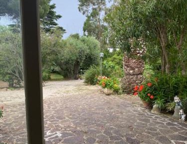 Studio with Garden View