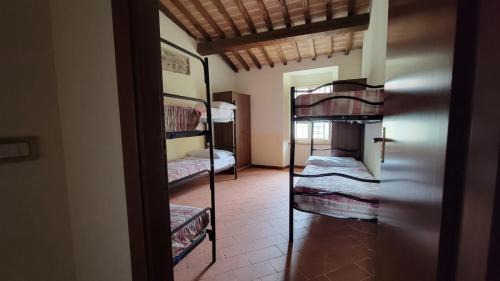 Single Bed in 6-Bed Dormitory Room