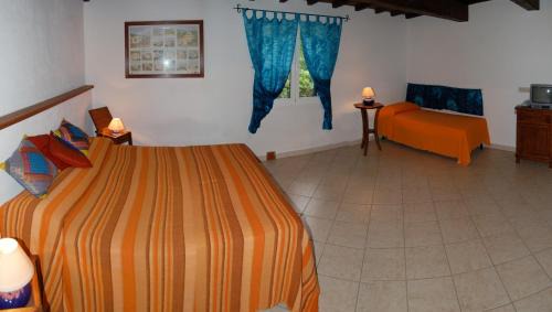 Studio Apartment with Garden View