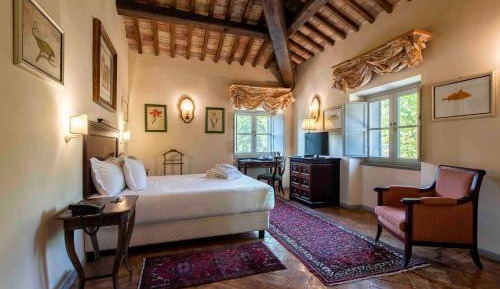 Junior Suite with Spa Access