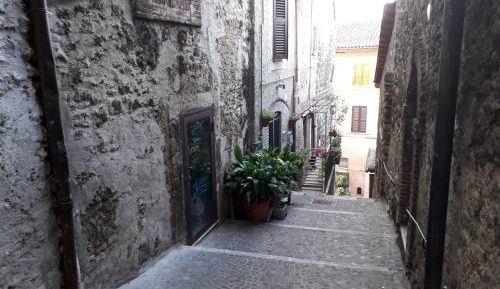 Penthouse Apartment