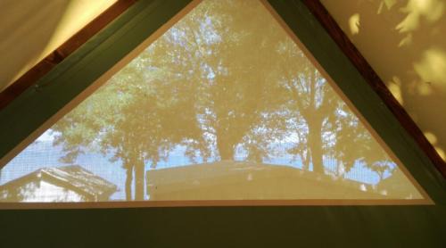 Elevated Tent with Shared Bathroom
