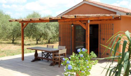 Studio with Garden View