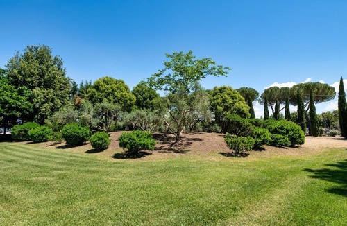 San Martino in Campo Apartment | GuestHost - Il Casale dei Gelsi - Tulipano